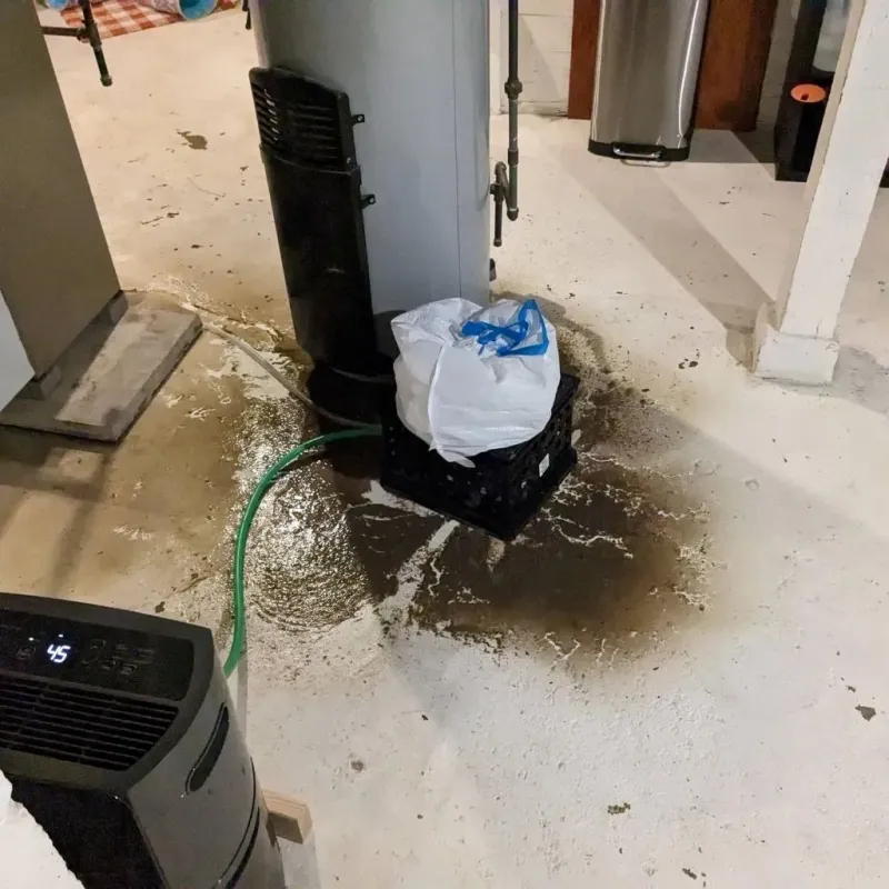 Sewage Backup Cleanup Service in Woodruff, SC
